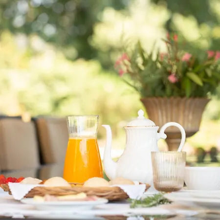 The Fox House - Private & Nature Villa São Pedro do Sul