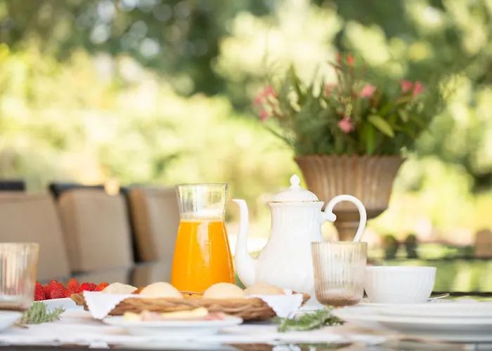 The Fox House - Private & Nature ヴィラ São Pedro do Sul